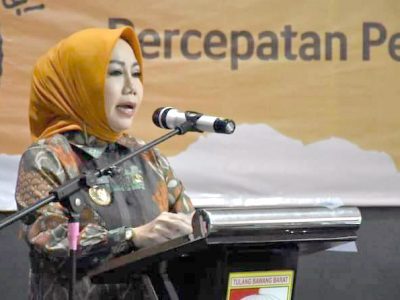 Penjabat (Pj) Bupati Kabupaten Tubaba, Zaidirina