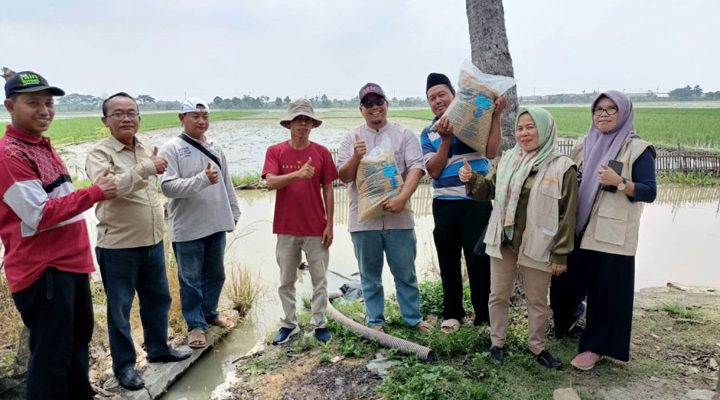 Pemerintah Kabupaten (Pemkab) Bekasi telah menyalurkan bantuan benih dari Direktorat Perbenihan, Kementerian Pertanian secara bertahap kepada petani