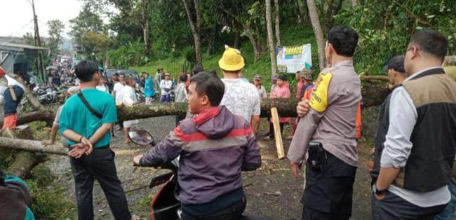 Bencana alam akibat hujan deras disertai angin puting beliung terjadi di Desa Cileungsi, Kecamatan Ciawi, Kabupaten Bogor, Rabu 3 Juli 2024