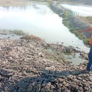 Mustafa Warga Pulo Naleung Kecewa, Normalisasi Saluran Tambak Diduga Dikerjakan Asal Jadi
