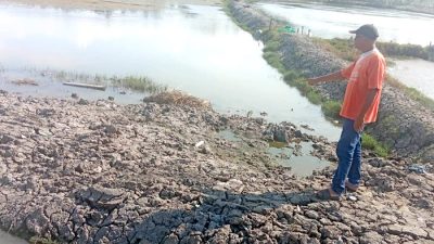 Mustafa Warga Pulo Naleung Kecewa, Normalisasi Saluran Tambak Diduga Dikerjakan Asal Jadi