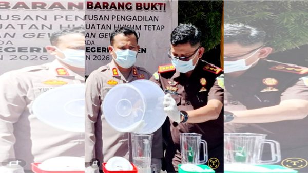 Kejari Bireuen Musnahkan 156 Gram Sabu dan 155 Kilogram Ganja