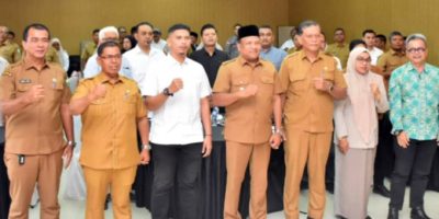 RDTR Perkotaan Bireuen Dimatangkan