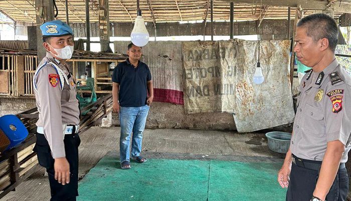 Polisi Cek Dugaan Arena Sabung Ayam di Jonggol, Pemilik Lokasi Bakal Dimintai Keterangan