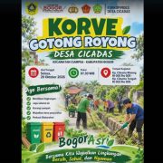 Kades Ujang Yani Pimpin Semarak Korve Gotong Royong di Desa Cicadas Ciampea